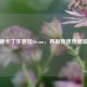 跑跑卡丁车登陆Steam，再掀竞速热潮波澜