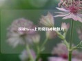 探秘Steam上死棺的神秘魅力