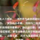 刘邦乱入三国杀，一场历史与桌游的错位穿越，的核心，，突出核心矛盾， 刘邦与三国杀这两个本不该同框的要素。，强化错位感， 使用乱入和错位穿越，更生动地表达时空和题材上的不匹配。，点明主题， 历史与桌游明确了讨论的范围。