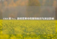 CSGO 的 Ver，游戏世界中的独特标识与深远影响