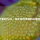 A卡驱动与LOL，优化游戏体验的关键因素