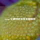 steam 令牌绑定流程全面解析