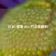 PUBG 修复 DNS  *** 全解析