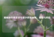 揭秘和平精英空中漫步教程视频，真相与风险