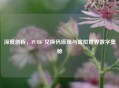 深度剖析，PUBG 兑换码原理与虚拟世界数字奥秘