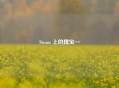 Steam 上的瑰宝—