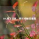 LOL魔王提莫，峡谷神秘捣蛋鬼