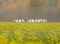 一文解答，lol掌盟在哪登录？
