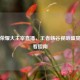 王者荣耀大主宰直播，王者峡谷视听盛宴及观看指南