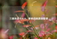 三国杀战斗BGM，奏响战场激昂旋律