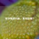 和平精英钓鱼，鱼钩在哪？
