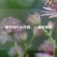 租号玩PUBG攻略，一篇全搞定