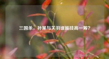 三国杀，孙策与关羽谁能技高一筹？