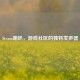 Steam喇叭，游戏社区的独特发声器
