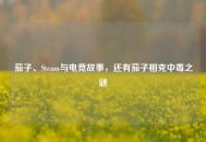 茄子、Steam与电竞故事，还有茄子相克中毒之谜