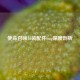 使命召唤16装配件bug深度剖析