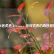 当老虎遇上Steam，游戏世界的奇妙碰撞
