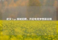武汉 Csgo 领域 *** ，开启电竞梦想新征程
