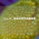 Steam IP，游戏世界的关键要素