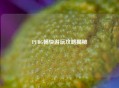 PUBG畅快游玩攻略揭秘