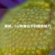 揭秘，LOL阿狸名字的独特魅力