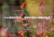 PUBG姐姐布娃娃2，带我吃鸡的大神剧情简介