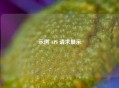 示例 API 请求展示