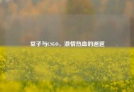 堂子与CSGO，***热血的邂逅