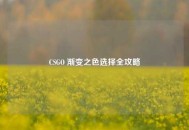 CSGO 渐变之色选择全攻略