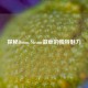 探秘Doom Steam徽章的独特魅力