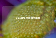 CSGO音乐包借用全指南