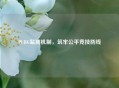 PUBG监测机制，筑牢公平竞技防线