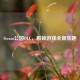 Steam公园DLC，解锁游戏全新乐趣