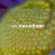 CSGO 交易为何暂受限？
