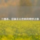 三国杀，总抽主公忠臣的奇妙之旅