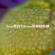 Steam蒸汽与Python的梦幻相遇