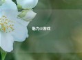 魅力CF游戏