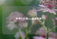 探寻PUBG里ping更低区域