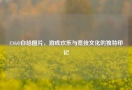 CSGO白给图片，游戏欢乐与竞技文化的独特印记
