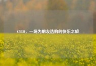 CSGO，一场为朋友选购的快乐之旅