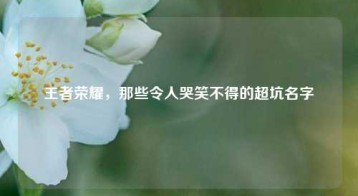 王者荣耀，那些令人哭笑不得的超坑名字