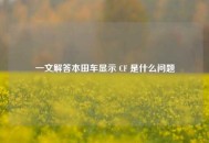 一文解答本田车显示 CF 是什么问题