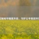  *** 和平精英外挂，守护公平竞技环境