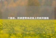 三国杀，双神速带来战场上的疾风骤雨