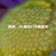 揭秘，LOL里的EZ究竟是谁