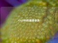 CSGO中的暴躁老外