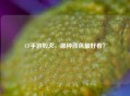 CF手游毁灭，哪种颜色更好看？