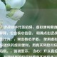当心！逆战助手代签陷阱，虚拟便利藏真实风险，解释，包含核心信息， 明确点出逆战助手和代签行为。，突出核心矛盾， 使用虚拟便利对应你提供的虚拟便利，用真实风险对应真实隐患陷阱。，强调警示， 当心！开头直接提示风险，标题结尾的陷阱和藏真实风险再次点明主题。，简洁有力， 在有限字数内清晰地表达了核心观点，代签的便利背后是巨大的潜在风险。