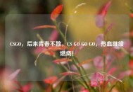 CSGO，后来青春不散，CS GO GO GO，热血继续燃烧！