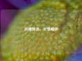 沉痛悼念，长情缅怀